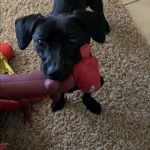 Meet your Posher, Colin